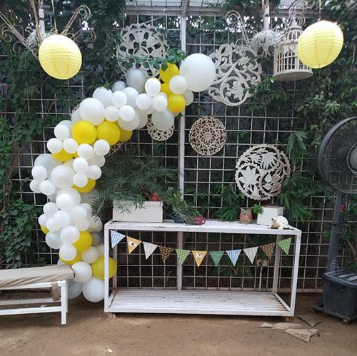 Balloon Arches