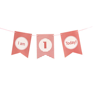 I Am One Today Pink Wall Banner-funzoop-thepartyshop