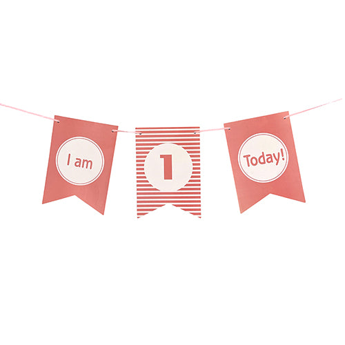 I Am One Today Pink Wall Banner-funzoop-thepartyshop