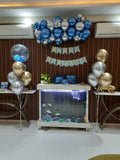 Blue and Silver Theme Birthday Decor [ BD102 ]