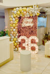 Half Arch Balloon Decor with Sequins Panel and Marquee Lights [ BC20 ]