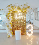 Half Arch Balloon Decor with Sequins Panel and Marquee Lights [ BC20 ]