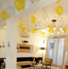 Home & Office Ceiling Balloon Decoration