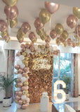 Milestone Number Birthday Decor with Ceiling Balloons [ BD27 ]