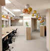 Birthday Balloon Decoration in Office for Boss