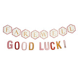 Good Luck farewell party banner hanging decoration for send-off celebrations from Funzoop The Party Shop