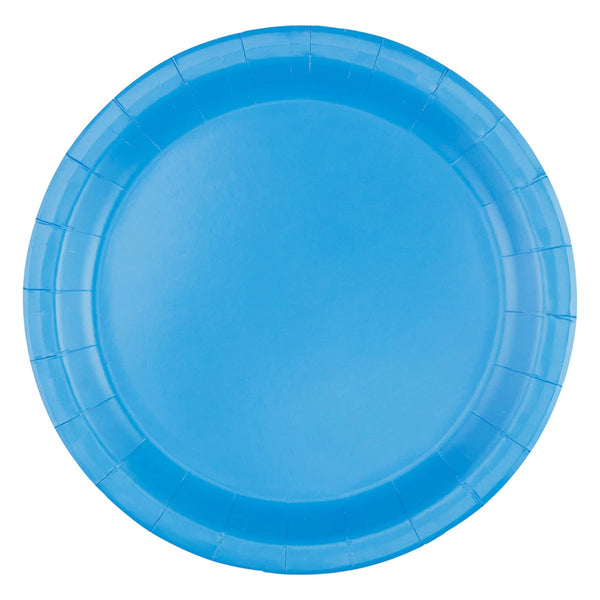 Light blue nine inch paper party plate shown individually with a plain centre and ridged border for coordinated celebration tableware.