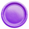 Purple nine inch paper party plate shown individually with a plain centre and ridged border for colour coordinated party tables.
