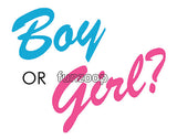 Boy or Girl photo booth placard with colorful gender reveal themed design from Funzoop The Party Shop