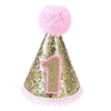 Pink and gold glitter cone hat with the number 1, shown as a small accessory for a baby's first birthday portrait.