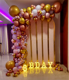 Balloons Backdrop Decor with LED Milestone Lights