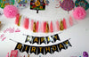 Happy Birthday Pom Pom Tassel Banner