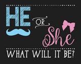 He or She photo booth placard with gender reveal themed printed design from Funzoop The Party Shop