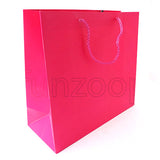 Solid Color Paper Gift Bag (Medium) - Funzoop