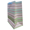 Stripes Paper Bag green - Funzoop